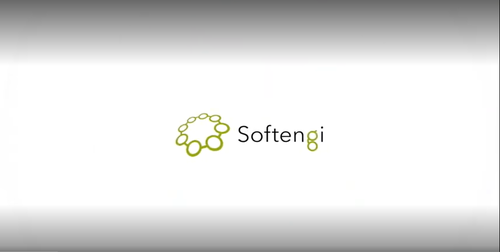Provide Logistics Globally With Softengi IoT